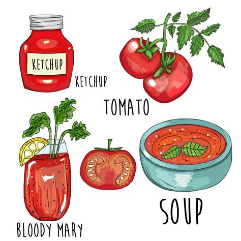 Tomato and friends on Behance Colouring Sheets For Adults, Cocktail Illustration, Tomato Ketchup, Kitchen Posters, Tomato Soup, Preserving Food, Food Illustrations, Kitchen Art, Posters Prints