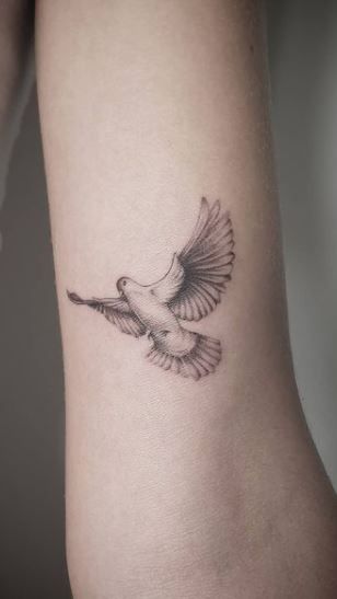 Dove Bicep Tattoo, Dove Collar Bone Tattoo, Mens Dove Tattoo Ideas, Morning Doves Tattoo, Men’s Dove Tattoo, Bird Tattoo Dove, Lion And Dove Tattoo, Different Bird Tattoos, Doves In The Wind Tattoo