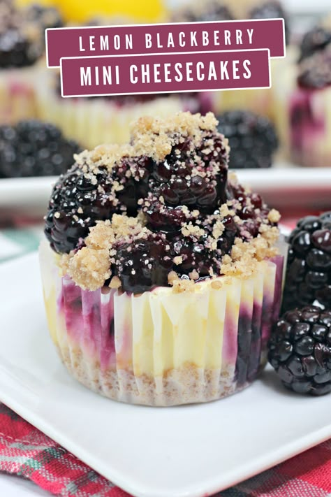 These Mini Lemon Blackberry Cheesecakes feature an graham cracker crust, smooth and creamy lemon cheesecake filling with juicy blackberries. Easy Mini Cheesecakes, Blackberry Dessert, Blackberry Lemon, Mini Cheesecakes Easy, Delicious Cheesecake Recipes, Blackberry Cheesecake, Blackberry Recipes, Mini Dessert, Cheesecake Cupcakes