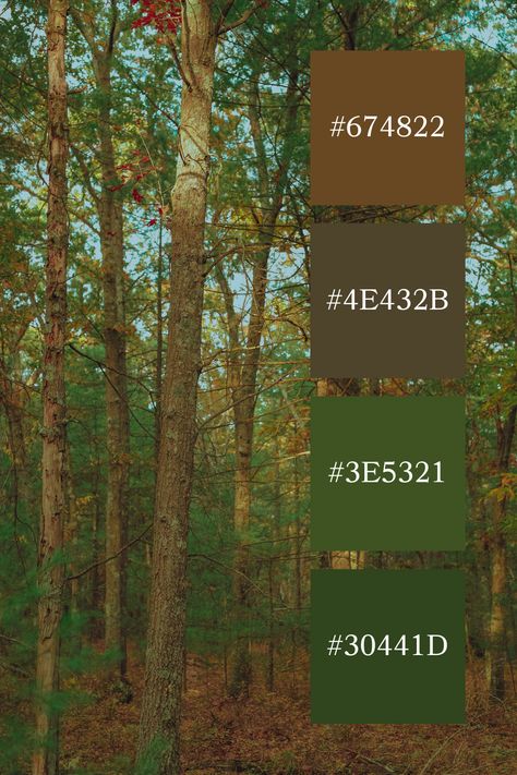 A woodland scene with tall trees and a mix of green and brown tones, creating a warm forest green and brown color palette. Woodland Forest Color Palette, Forest Green And Brown Color Palette, Color Palette Brown Green, Garden Colour Palette, Color Combination With Brown, Forest Green Palette, Forest Color Scheme, Woodland Color Palette, Brown Color Combinations