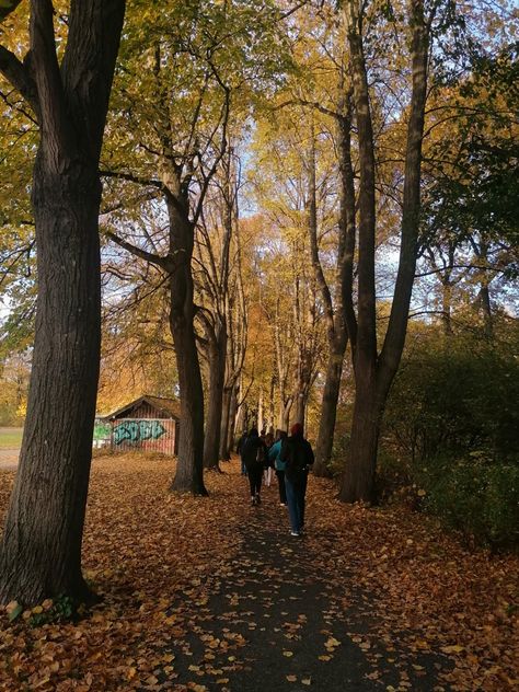 a lot of friends from denmark going on a long walk through a forest in a warm autumn weather Autumn In Denmark, Fall In Copenhagen, Copenhagen Fall Aesthetic, Autumn In Copenhagen, Denmark Autumn, Autumn Scandinavian, Copenhagen Autumn, Copenhagen Vibes, Legoland Denmark