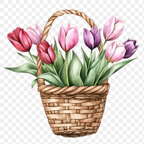 Basket Watercolor, Tulips Art, Png Flower, Small Basket, Illustration Watercolor, Plant Art, Flower Plant, Png Transparent, Free Png