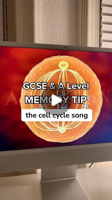 GCSE & A Level Biology Teacher / Tutor on Instagram: "Song is by asap science and animation is from YouTube! 

#alevelbiology #gcsebiology #biologyteacher #biology #biologyclass #biologystudent" Human Physiology, Instagram Song, A Level Biology, Biology Teacher, Biology Lessons, April 25, Life Science, Cool Websites, Biology