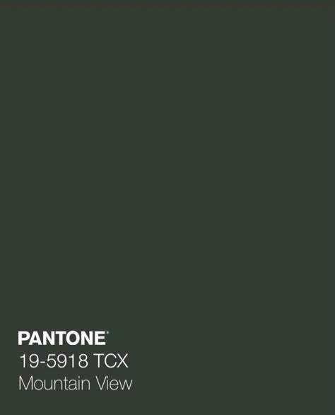 Dark Green Paint Swatch, Forest Green Pantone, Dark Gallery Wall, Pantone Color Swatches, Deep Sage Green, Room Vision Board, Dark Moss Green, Dark Sage Green, Pantone Colour Palettes