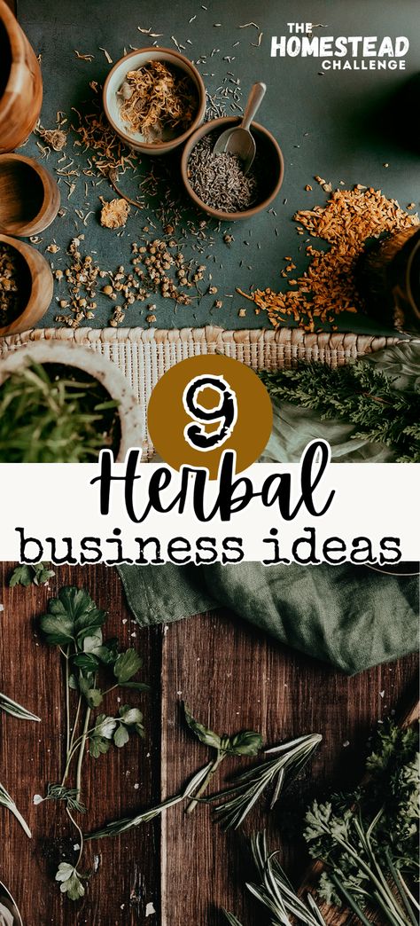 Turn your love for herbs into a thriving herbal business to make money from your homestead! 🌿 Explore innovative ways to monetize your herbal passion, from crafting herbal products to hosting workshops. Perfect for homesteaders, herbalists, and entrepreneurs looking for inspiration. Learn how to start and grow a profitable venture in the herbal market. #HerbBusiness #HerbalProducts #HomesteadBusiness #NaturalHealthMarket #ProfitFromPassion How To Start An Herbal Apothecary, Herbal Crafts To Sell, How To Make Herbal Hydrosols, Holistic Herbs Herbal Medicine, Diy Herbal Medicine, Herbal Store Interior, Small Apothecary Business, Herbal Workshop Ideas, Herbal Store Ideas