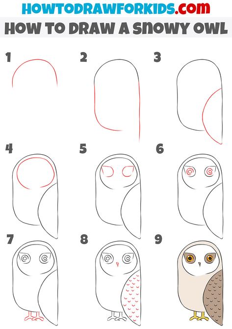 how to draw a snowy owl step by step Owl Drawing Ideas, Snowy Owl Drawing, Owl Drawing Art, Easy Owl Drawing, Owl Drawing Simple, Easy Kids Art Projects, Dobby Harry, Owl Sketch, Animals Jokes