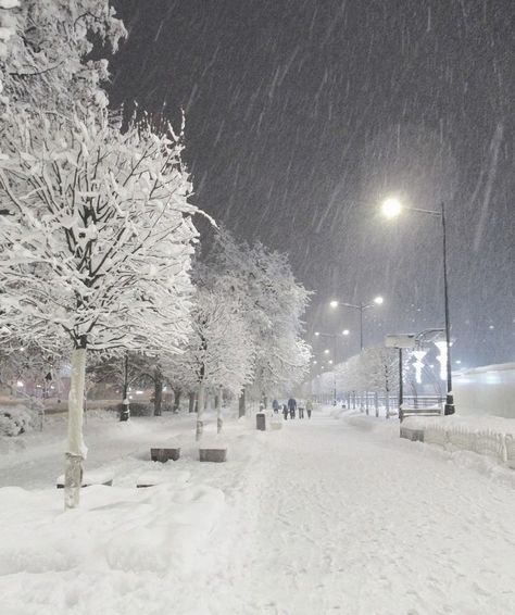 Snowy Night, I Love Snow, Winter Inspo, I Love Winter, Winter Scenery, Best Seasons, Snowy Day, Winter Pictures, Winter Wonder