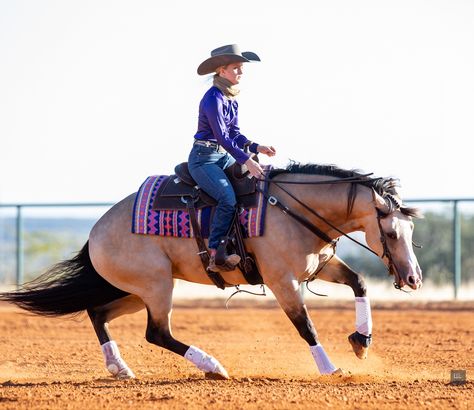 Reining:) Western Reining Horse, Tackless Horse Riding, Reigning Horses, Western Pleasure Outfit, Horse Poses, Working Cow Horse, Woman Riding Horse, Western Equestrian, Trajes Country