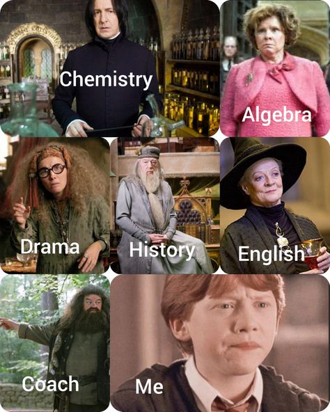 Hogwarts Subjects, Hogwarts Teachers, Hogwarts Professors, Movie Memes, Coach Me, Chemistry, Subjects, Hogwarts, Harry Potter