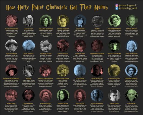 The True Meaning Of Each Harry Potter Character Name Explained | Inside the Magic Harry Potter Character Quiz, Harry Potter Characters Names, Hulk Character, Circus Characters, Harry Potter Potions, Harry Potter Spells, Character Types, Make An Infographic, Science Fiction Tv