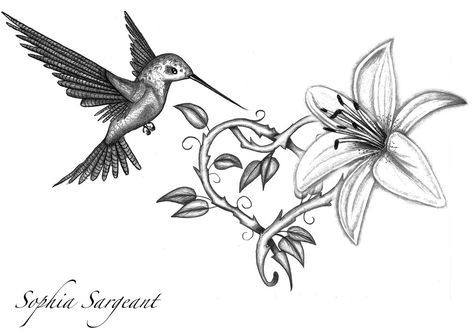 Lilly Flower Tattoo, Hummingbird Flower Tattoos, Lily Tattoo Design, Lily Flower Tattoos, Black Bird Tattoo, Mandala Tattoos, Bird Sketch, Lily Tattoo, Hummingbird Tattoo