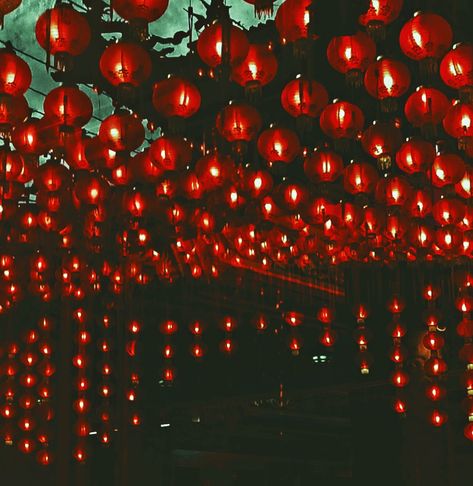 Red Lantern Red Lantern Aesthetic, Lantern Aesthetic, Red Lanterns, Deer Silhouette, Aesthetic Roses, Red Lantern, Red Moon, House Inspo, Chinese New Year