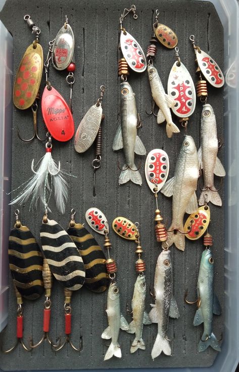 Art Advocacy, Fish Shack, Old Fishing Lures, Homemade Fishing Lures, Bicycle Camping, Antler Crafts, Office Aesthetic, Vintage Fishing Lures, Fish Camp