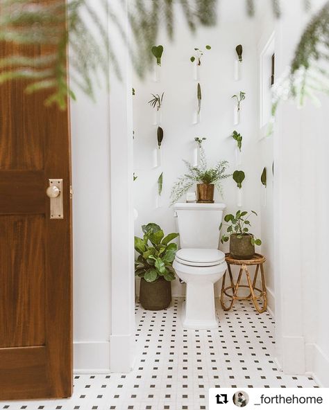 Plants and brass hardware details, our favorite!  #Repost @_forthehome  ・・・ I was going to wallpaper this nook but I decided to cover it with plants instead 🤪🌿💚 #NostalgicWarehouse #BrassHardware #DIY Propagation Wall, Bathroom Plants Decor, Green Mattress, Living Vintage, Marble Vase, Bathroom Plants, Unique Vases, Wall Vase, Room With Plants