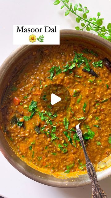 🍁Vinita Rathee 🍁 on Instagram: "Masoor Dal! Dal Chawal is an emotion for so many of us. And This masoor dal is Extremely comforting during winters. Recipe: 1) 1 cup sabut masoor dal 2) 2 cups of water 3) 1 tomato roughly chopped 4) 3 tbsp ghee(2 tbsp for tadka and 1 tbsp before serving) 5) 1 tsp cumin seeds 6) 5-6 black peppercorns 7) 3-4 cloves 8) 1 dried red chilli 9) 1 bay leaf 10) 7-8 curry leaves 11) pinch of hing 12) 1 tbsp finely chopped ginger 13) 2 tbsp finely chopped garlic 14) 1 tbsp finely chopped green chillies 15) 1 medium size onion finely chopped 16) spices- salt acc to taste ( add in parts some while cooking the dal and some with the tadka) 1/2 tsp turmeric powder, 1/2 tsp corriander powder, 1/2 tsp red chilli powder, 1/2 tsp garam masala. 17) 1/2 cup hot water 18) Masoor Dal Recipe Indian, Dal Curry Indian Recipes, Dal Chawal Recipe, Red Dal Recipe, Black Masoor Dal Recipe, Black Dal Recipe, Whole Masoor Dal Recipe, Dal Recipe Indian, Dal Masala