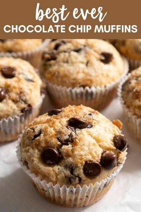 Choc Chip Muffins Recipe, Easy Chocolate Chip Muffins, Moist Chocolate Chip Muffins, Homemade Chocolate Chip Muffins, Healthy Chocolate Chip Muffins, Best Chocolate Chip Muffins, Chocolate Chip Muffins Easy, Choc Chip Muffins, Oatmeal Chocolate Chip Muffins