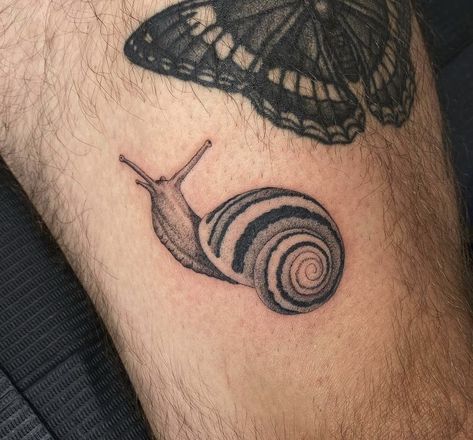 Snail Tattoo, Shell Tattoos, Insect Tattoo, Bug Tattoo, Mushroom Tattoos, 1 Tattoo, Makeup Tattoos, Desenho Tattoo, Baby Tattoos