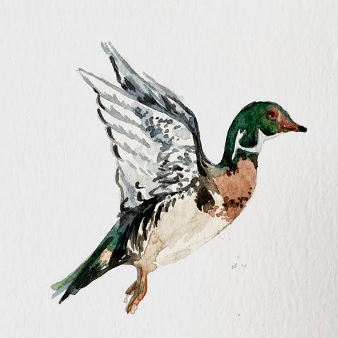 Wood Duck Watercolor, Pintail Duck Painting, Hunting Watercolor Paintings, Hunting Watercolor, Duck Paintings, Glam Cowgirl, Duck Watercolor, Watercolor Duck, Duck In Water