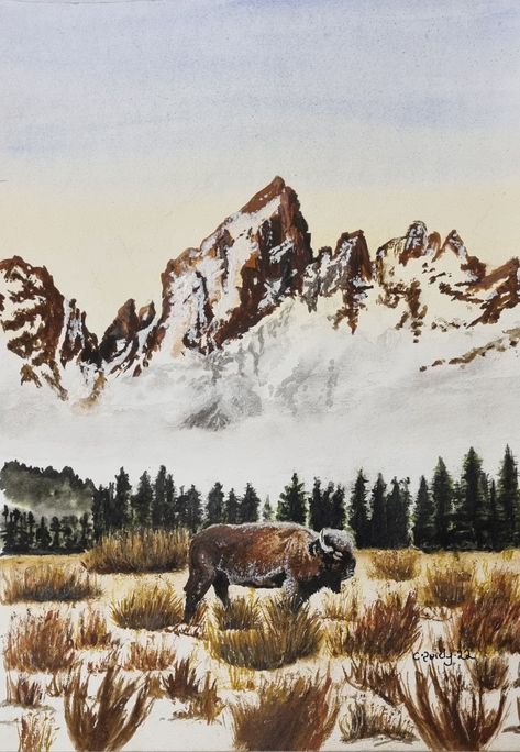 Yellowstone Drawing, Wyoming Painting, Western Watercolor Paintings, Montana Watercolor, Yellowstone Painting, Bison Drawing, Montana Painting, Bison Illustration, Bison Watercolor