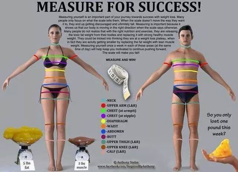 Be sure to measure! Plexus makes you lose fat not muscle 24 Day Challenge, 21 Day Fix Extreme, 21 Day Fix Meals, Lose 30 Pounds, Isagenix, 21 Day Fix, I Work Out, Diet Tips, Get In Shape