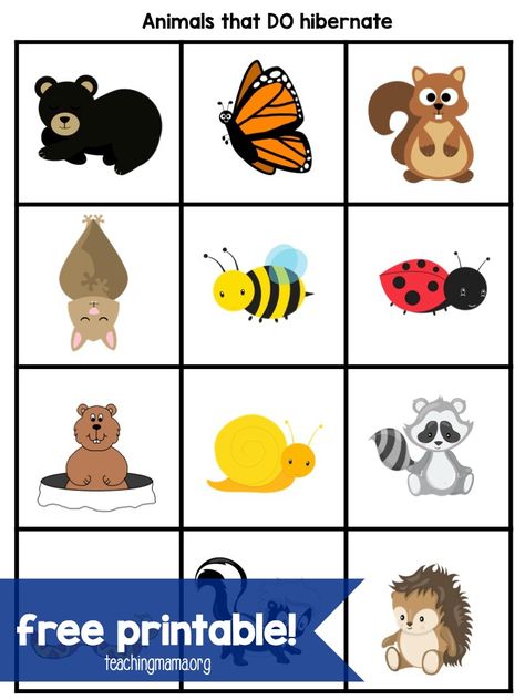 Hibernation Activities for Preschoolers Hibernation Preschool Theme, Hibernation Preschool Crafts, Hibernation Preschool Activities, Hibernation Crafts, Hibernation Preschool, Hibernation Activities, Animals That Hibernate, Kids Worksheets Printables, Activities For Preschoolers