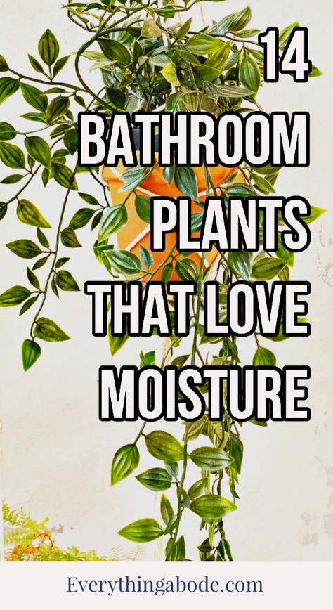 Houseplants for the Bathroom: 14 Varieties That'll Love the Humidity - Everything Abode Bathroom Plants Decor, Best Bathroom Plants, Bohemian Bathroom, About Plants, Lily Plants, Palm Plant, Pothos Plant, Bathroom Plants, Fern Plant