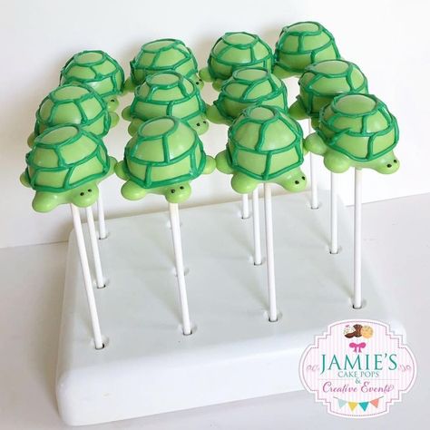 Cute little turtles! - Jamie's Cake Pops and Creative Events | Facebook Turtle Themed Food, Turtle First Birthday, Turtle Cake Pops, Turtle Birthday Cake, Turtle Birthday Parties, Turtle Cake, Turtle Birthday, Turtle Love, Creative Event