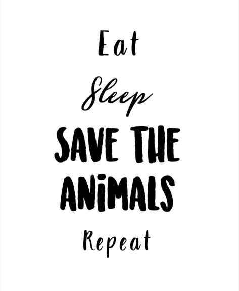 Rescuing Animals Quotes, Save Animals Quotes, Save The Animals, Season Quotes, Vision Board Photos, Animal Liberation, Saving Quotes, Quote Pins, Vegan Animals