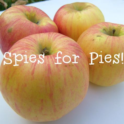 Where to Find Northern Spy Apples in Michigan - Eat Like No One Else Favorite Pie, Apple Recipes, Why People, Find It, Apples, Travel Inspiration, Michigan, Pie, Travel