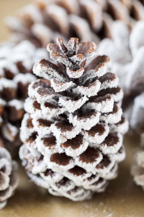 DIY Pine Cone Craft - decorate pine cones with real flocking powder and water to create a snowy winter wonderland decoration. Diy Pinecone Ornaments Xmas, Christmas Decor Ideas Water Beads, Diy Flocking Powder Recipe, Pine Cone Craft, Flocking Powder, Pine Cone Ornament, Snowy Pinecone, Pine Cone Christmas Decorations, Crafty Witch