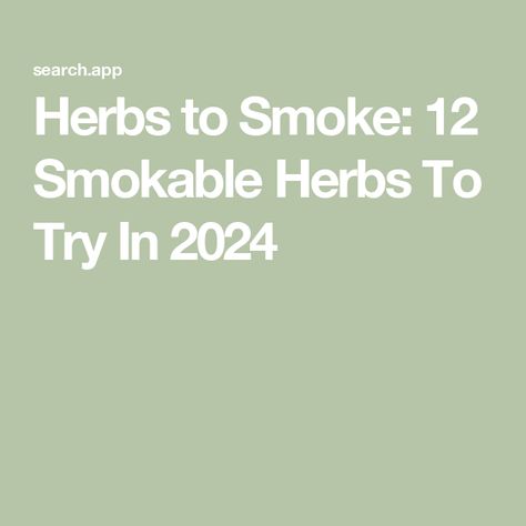 Herbs to Smoke: 12 Smokable Herbs To Try In 2024 What Herbs Can Be Smoked?, Smokable Herbs That Get You High, Smokeable Herbs And Flowers, Smokable Herb Blends, Smokeable Herbs, Smokable Herbs, Herb Blends, Dream Herbs, Herbal Education