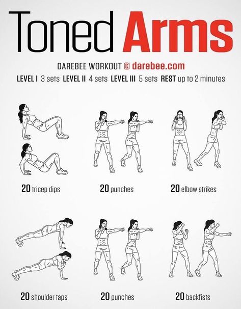 Darbee Workout, Darebee Workout, Toned Arms Workout, Anime Workout, Superhero Workout, Arms Workout, Lose Arm Fat, Month Workout, Lost 100 Pounds