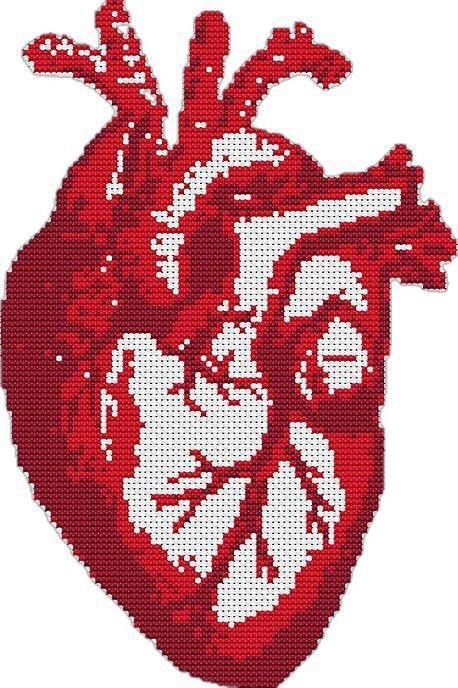 Kit Heart, Pola Kristik, Pola Sulam, Human Heart, Heart Beat, Modern Cross Stitch Patterns, Cross Stitch Patterns Free, Modern Cross, Tapestry Crochet