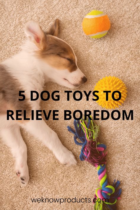 Interactive Dog Toys Diy Brain Games, Best Dog Toys, Interactive Dog Toys, Work From Home, Dog Treats, Product Reviews, Dog Toys, Best Dogs, Working From Home