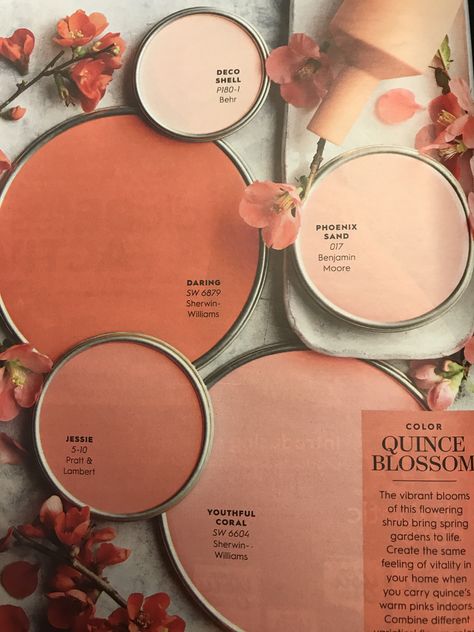 Desert Pink Bathroom, Light Terracotta Accent Wall, Boho Cream Paint Colors, Boho Tan Paint Colors, Peach And Tan Bedroom, Terra Cotta Pink Color Palettes, Peach Boho Living Room, Clay Pink Color Palette, Terra Cotta Bathroom Decor