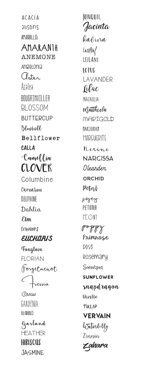 Font Previewer Circle Name Ideas, Mom Contact Names, Local Name Ideas, Contact Names For Mom, Boho Names, Name Twitter, Floral Names, Baby Room Signs, Circle Name