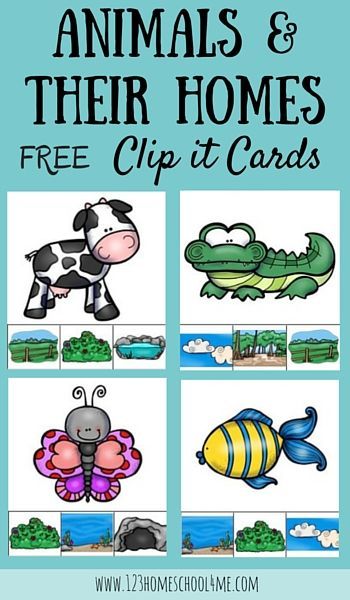 FREE Animal Homes Clip it Cards - Preschool and Kindergarten age kids will love learning about habitats with this fun educational activity identifying 12 animal homes. (science, homeschool, free printable) Animal Habitat Crafts For Preschool, Zoo Science Activities Preschool, Habitat Activities Preschool, Animal Activity Preschool, Animal Homes Preschool, Habitat Activities, Animals And Their Homes, Grinch Punch, Science Homeschool