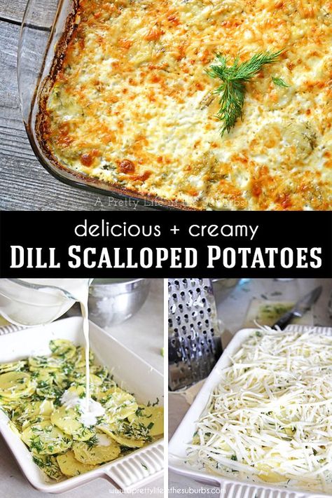 These Dill Scalloped Potatoes are creamy, cheesy and SO delicious!  The addition of fresh dill makes these potatoes incredible! Creamy Dill Potatoes, Scalopped Potatoes Recipe, Dill Potatoes, Dill Recipes, Ham Dinner, Healty Dinner, Cheesy Mashed Potatoes, Scalloped Potato Recipes, Easter Dinner Recipes