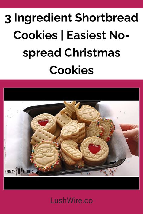 3 Ingredient Shortbread Cookies | Easiest No-spread Christmas Cookies No Spread Shortbread Cookies, Christmas Short Bread Cookies, Three Ingredient Shortbread Cookies, Christmas Shortbread Cookies Recipes, No Spread Cookie Recipe, Stamped Shortbread Cookies, 3 Ingredient Shortbread Cookie Recipe, 3 Ingredient Shortbread Cookies, 3 Ingredient Shortbread