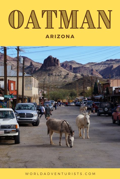 All about the town with more Burrows than people. Oatman | Oatman Arizona | Oatman Arizona Route 66 | Oatman AZ Donkey Wedding, Oatman Az, Oatman Arizona, Mountains At Night, Los Vegas, Bullhead City, Kingman Arizona, Historic Route 66, Lake Havasu City