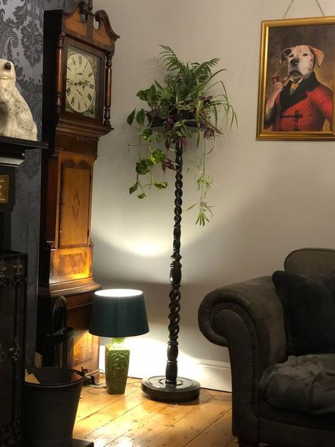 Recycle, Reuse and Repurpose! | Here is a plant stand I made from a old standard lamp I pulled from a skip | Facebook Repurposed Floor Lamp, Recycled House, Standard Lamp, Old Lamps, Standard Lamps, Floor Standing Lamps, Standing Lamp, Do Love, Crafty Ideas