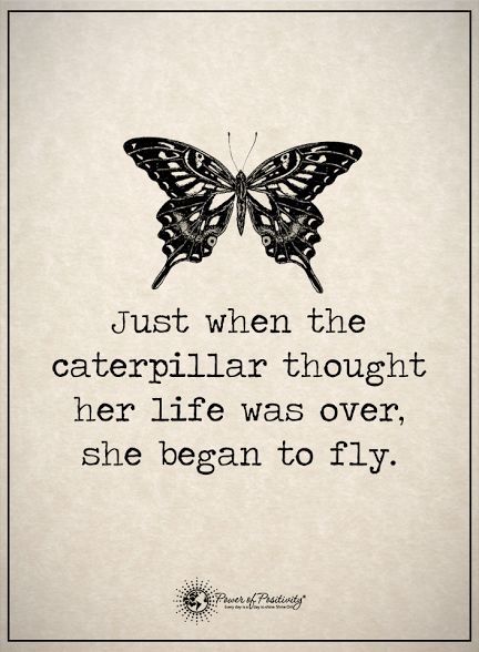 Modern society is a sea of drama, and sometimes, it can seem impossible to escape. Here are 4 signs of emotional distress(and how to heal)... Yoga Kundalini, Inspirerende Ord, Butterfly Quotes, Fina Ord, Modern Society, Motiverende Quotes, A Quote, Beautiful Quotes, Caterpillar