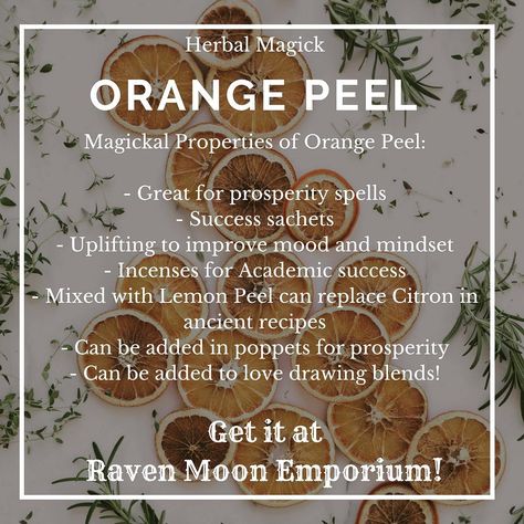 Orange Peel's Magickal Properties: Great for prosperity spells and uplifting a mood or mindset. Can be used straight from the orange, dried pieces or essential oils. Can be mixed with Lemon Peel to replace Citron in any ancient recipe.  #Regram via @ravenmoonemporium #herbalmagick #herbalmagic #hedgewitch #kitchenwitchary Hoodoo Spells, Prosperity Spell, Witch Board, Magickal Herbs, Witch Herbs, Green Witchcraft, Wiccan Magic, Magic Herbs, Magick Spells