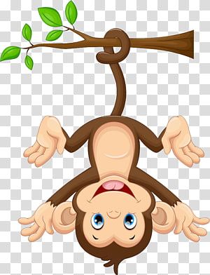 Rabbit Cartoon Drawing, Monkey Clipart, Monkey Cartoon, Circus Monkey, Jungle Animals Party, Baby Jungle Animals, Monkey Illustration, Stick Figure Animation, Monkey And Banana