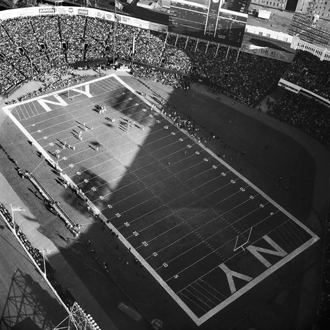 NFL in NYC: pro football's history in the five boroughs - Curbed NY New York Stadium, Ny Giants Football, Giants Stadium, New York Giants Logo, Nfl Stadiums, Baltimore Colts, New York Giants Football, New York Football, Baseball Park