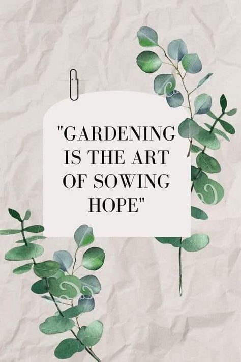 Quotes About Gardening, Gardener Quotes, Garden Humor, Canva Inspiration, Floristry Design, Gardening Quotes, Flower Farming, Garden Life, Garden Quotes