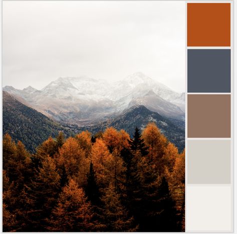 Blue Gray And Rust Bedroom, Orange Grey Blue Palette, Blue Grey Rust Color Scheme, Navy Fall Color Palette, Blue Orange Tan Color Palette, Modern Mountain Color Palette, Blue Orange Grey Color Palette, Mountain Color Pallete, Ski Chalet Color Palette