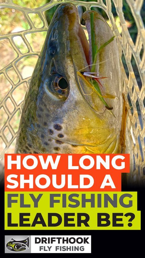 Best Trout Flies, Fly Fishing Knots, Fly Fishing For Beginners, Fish School, Crappie Fishing Tips, Fishing Basics, Rainbow Trout Fishing, Trout Fishing Tips, Trout Bait