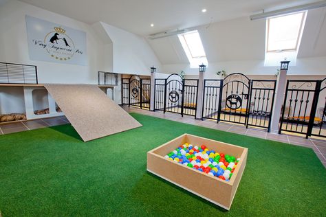 VIP Pets – the First Five Star Dog Hotel & Kindergarten | Prague Stay Playroom For Dogs, Luxurious Dog Room, Pet Day Care Ideas, Dog Daycare Floor Plans, Doggie Hotel Ideas, Animal Hotel Ideas, Dog Stalls Indoors, Dog Boarding At Home, Luxury Dog Daycare