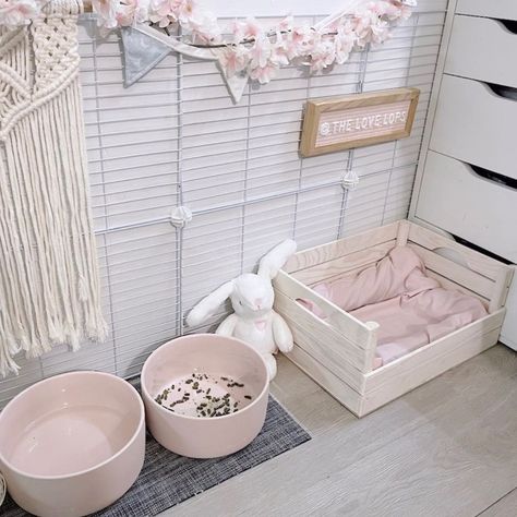 Cute Bunny Setup Ideas, Bedroom With Bunny Cage, Aesthetic Bunny Setup, Bunny Setup In Bedroom, Freeroam Bunny Setup, Bunny Room Ideas Bedrooms, Pet Rooms Ideas, Bunny Cage Aesthetic, Bunny Space Ideas